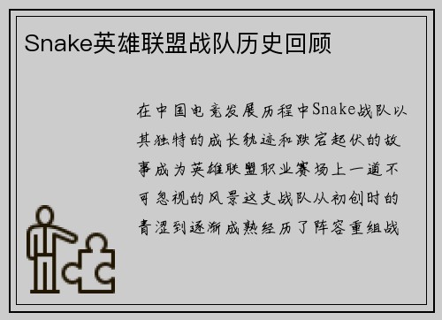 Snake英雄联盟战队历史回顾